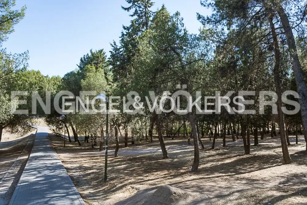 Houses for rent in Madrid  with Heating, Private garden and Terrace