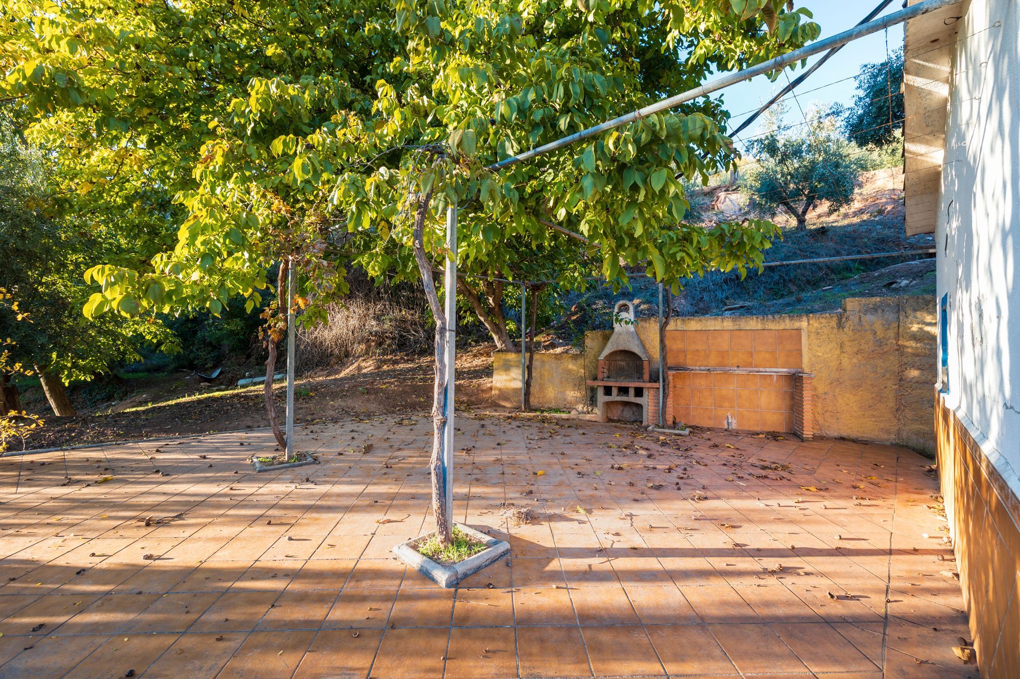 Terrassa de Casa o xalet en venda en Cogollos de la Vega