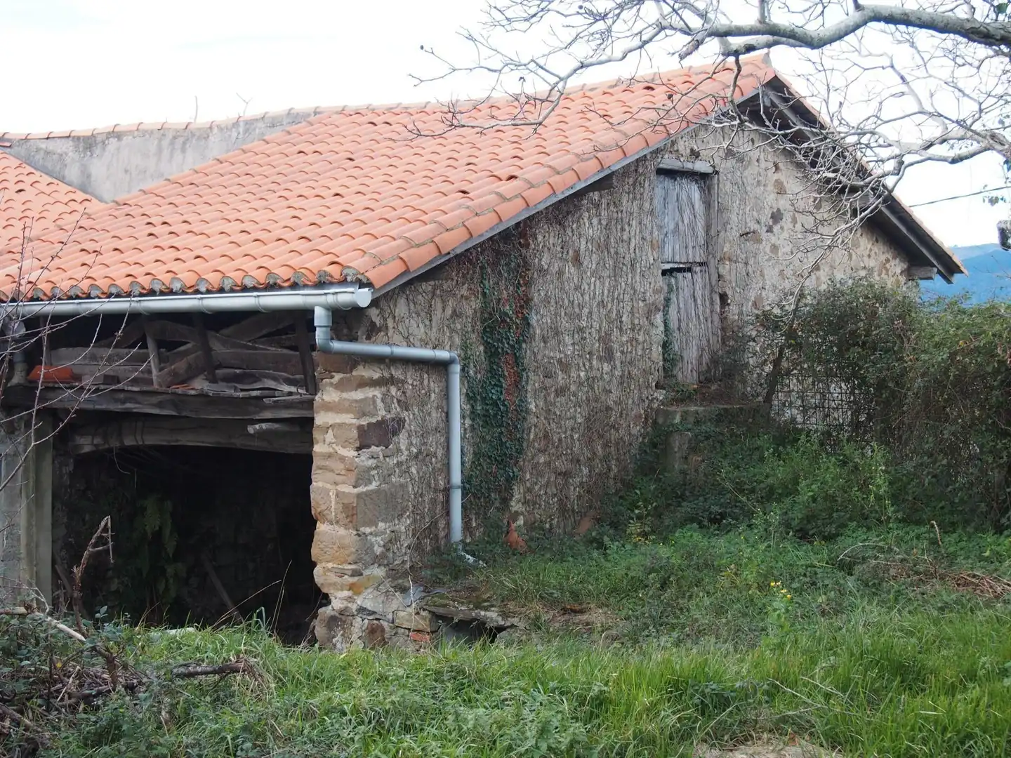 Vista exterior de Finca rústica en venta en Mendexa con Jardín privado