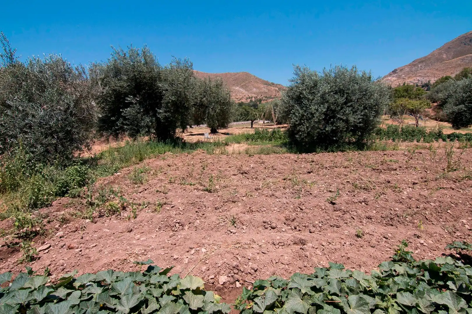 Finca rústica en venta en Güéjar Sierra con Terraza, Piscina y Balcón