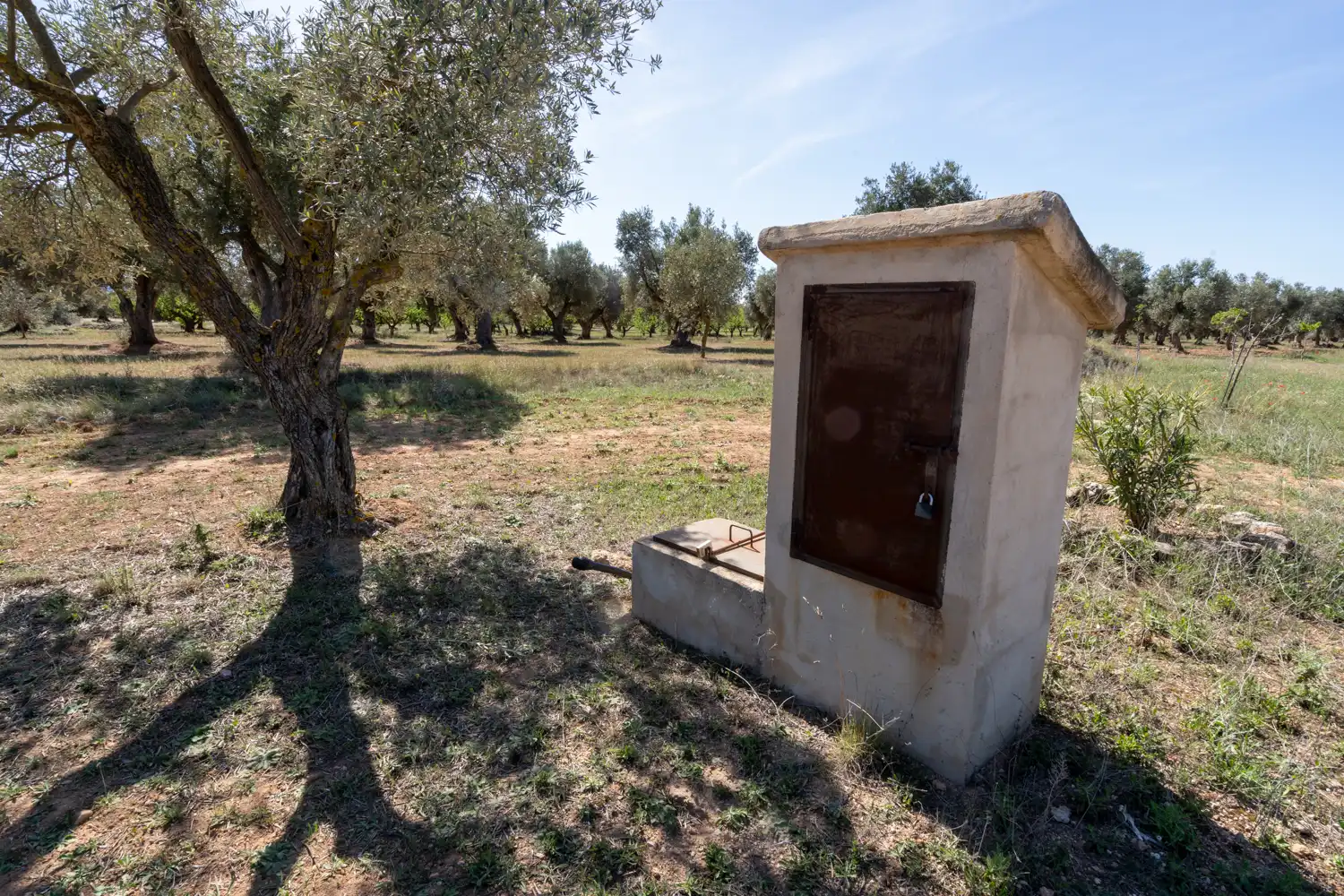 Rural land for sale in Raval dels Àngels 18, imagen 18