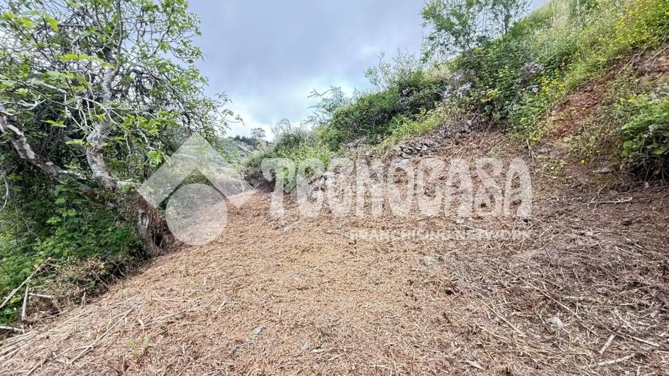 Terreno en venta en Moya (Las Palmas)