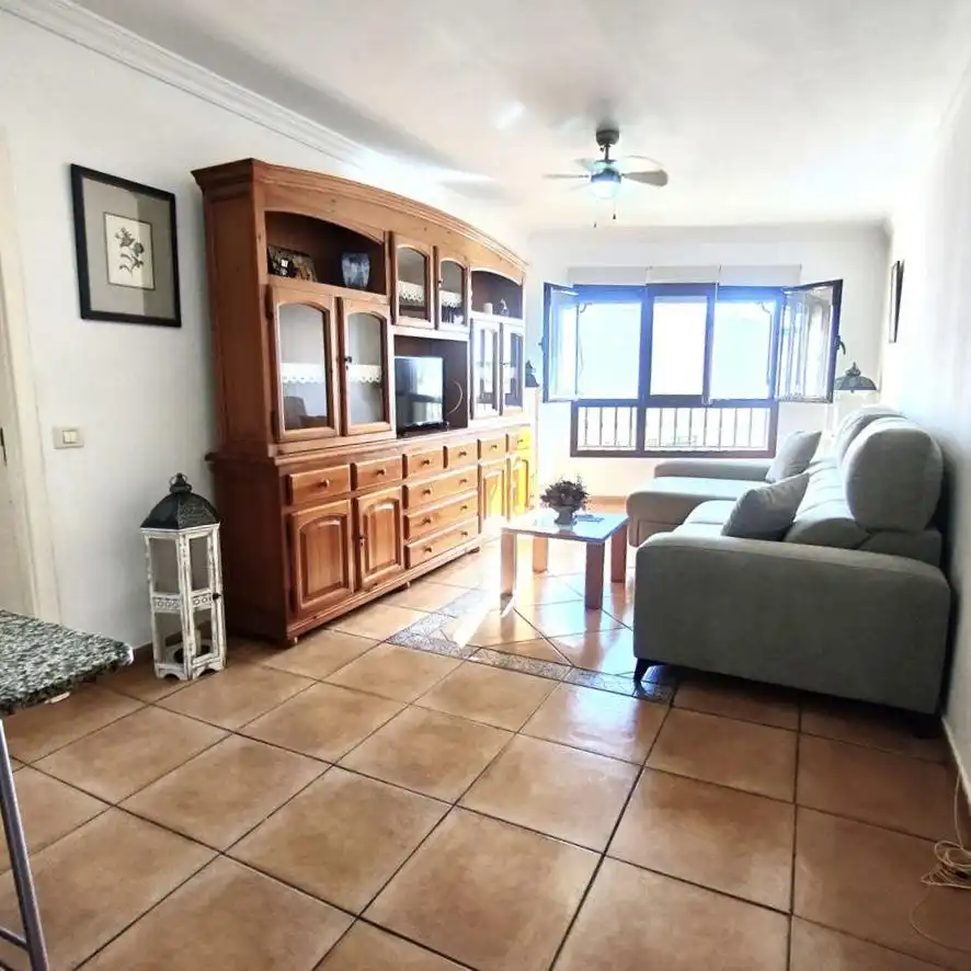 Sala d'estar de Planta baixa de lloguer en Mogán amb Moblat