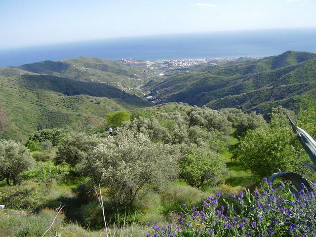 Terreno residencial en Venta en MA-108 en Moclinejo