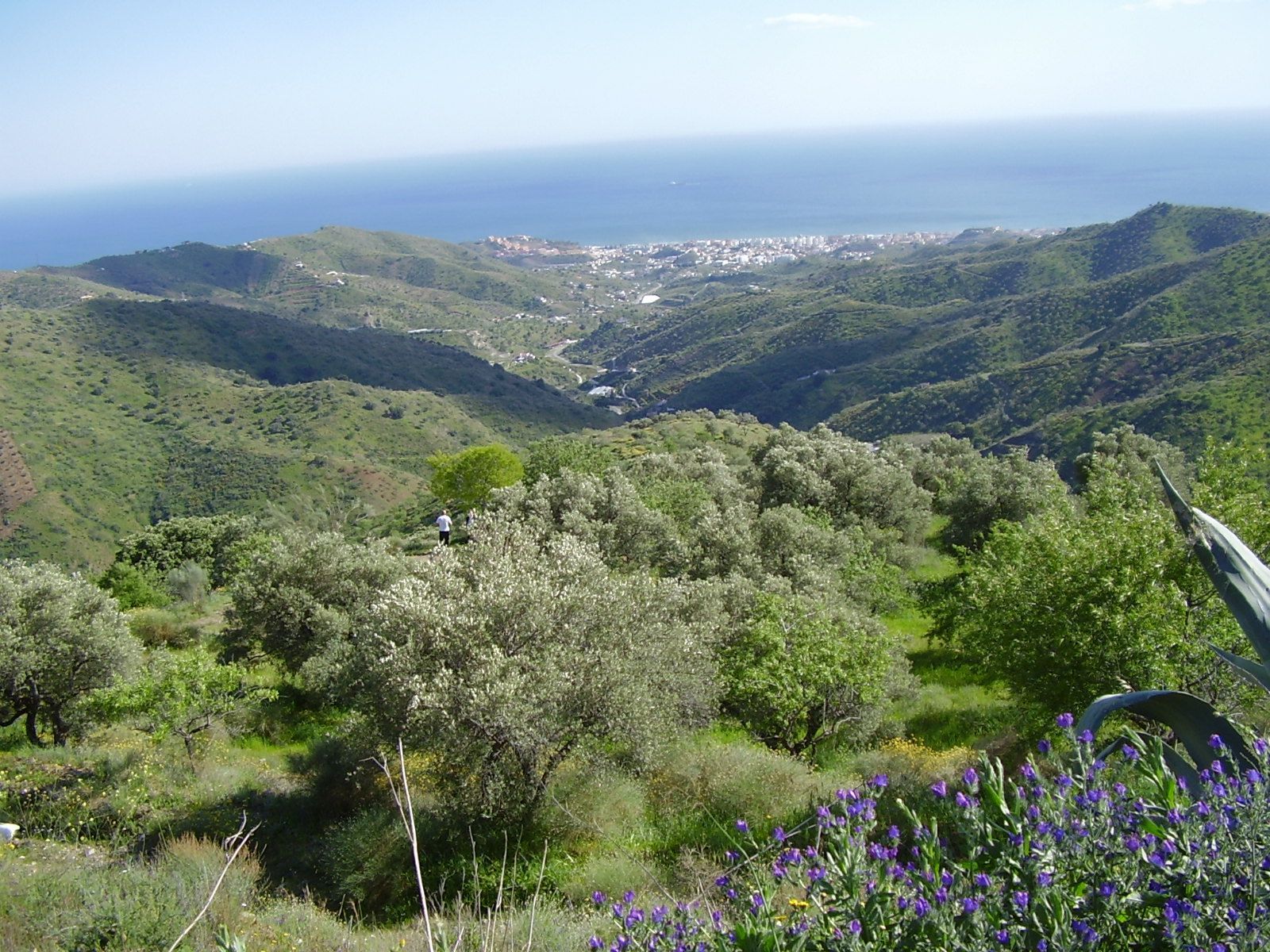 Exterior view of Residential for sale in Moclinejo