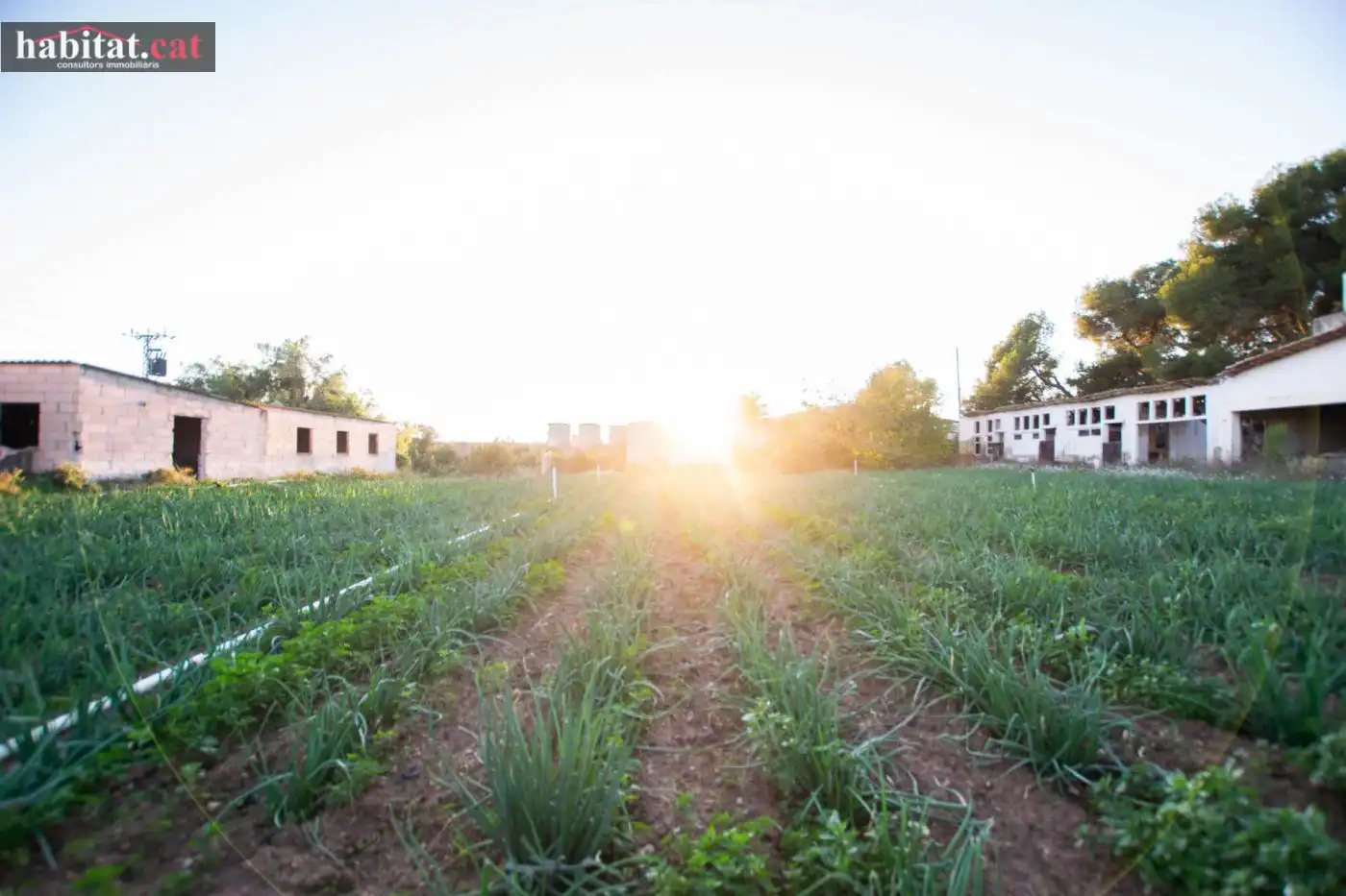 Finca rústica en venta en Vilanova i la Geltrú con Jardín privado y Terraza