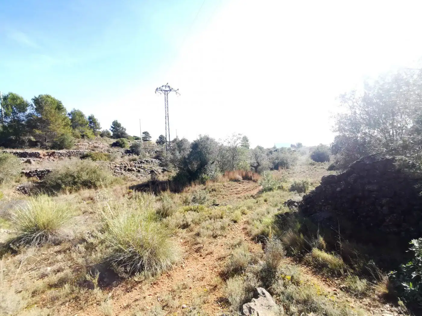 Finca rústica en venda en Chella