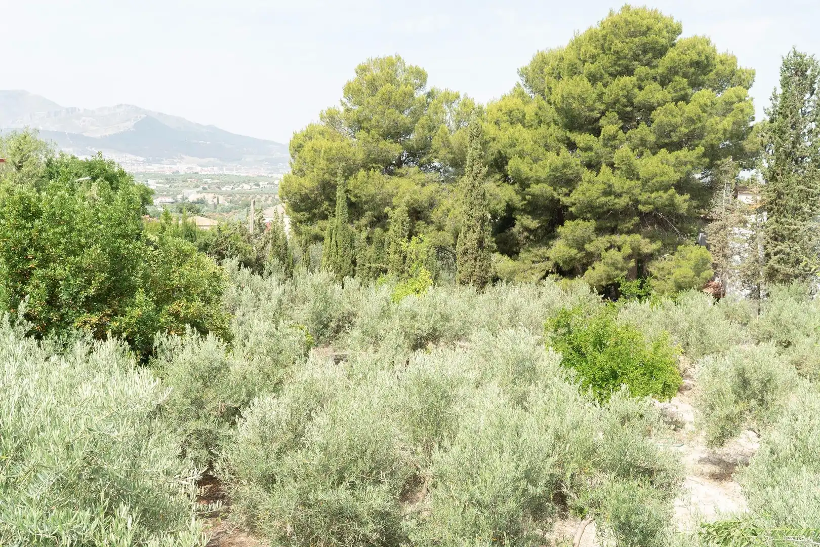 Casa o chalet en venta en Jaén