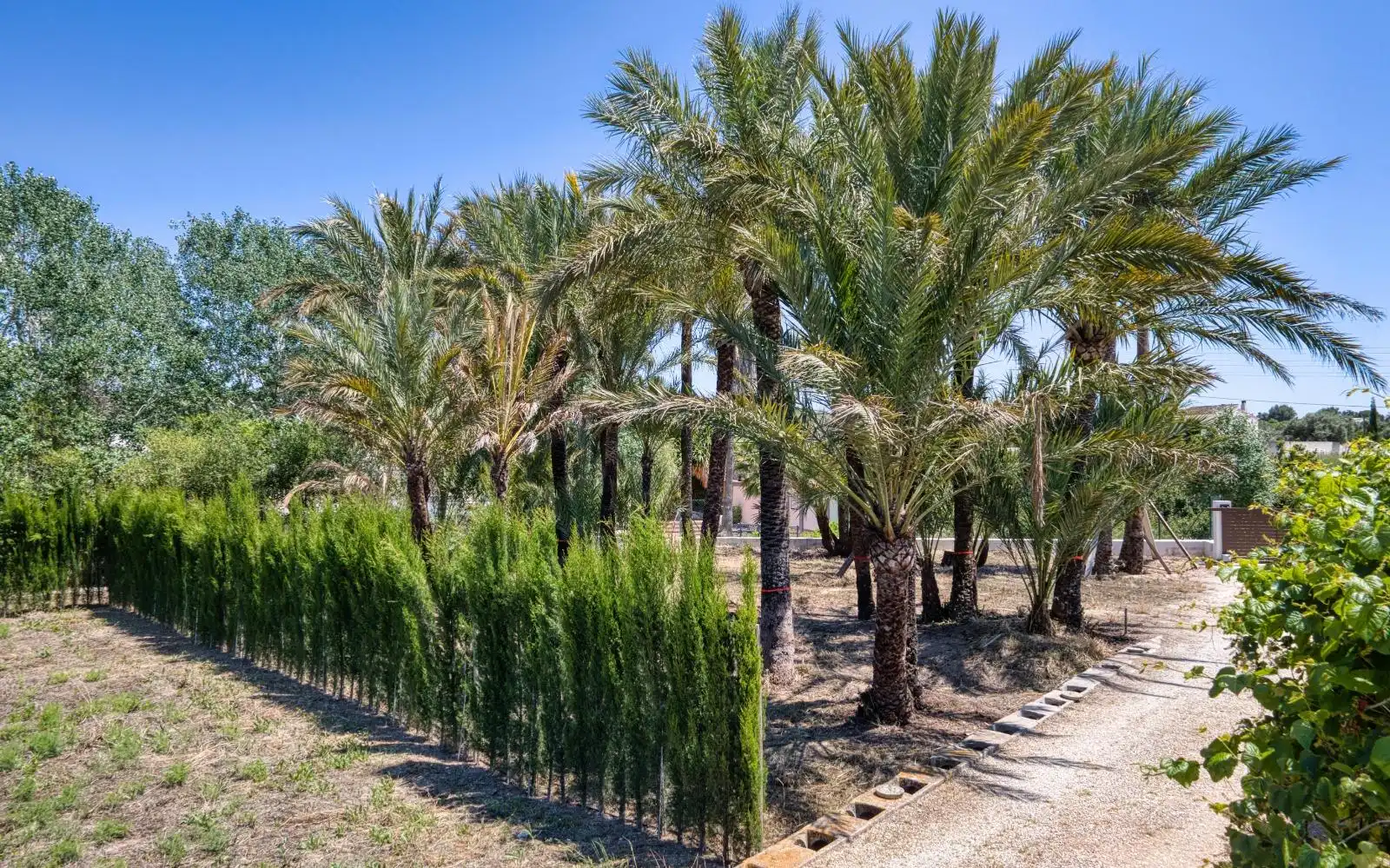 Maison rustique avec jardin à vendre à Teulada, imagen 12