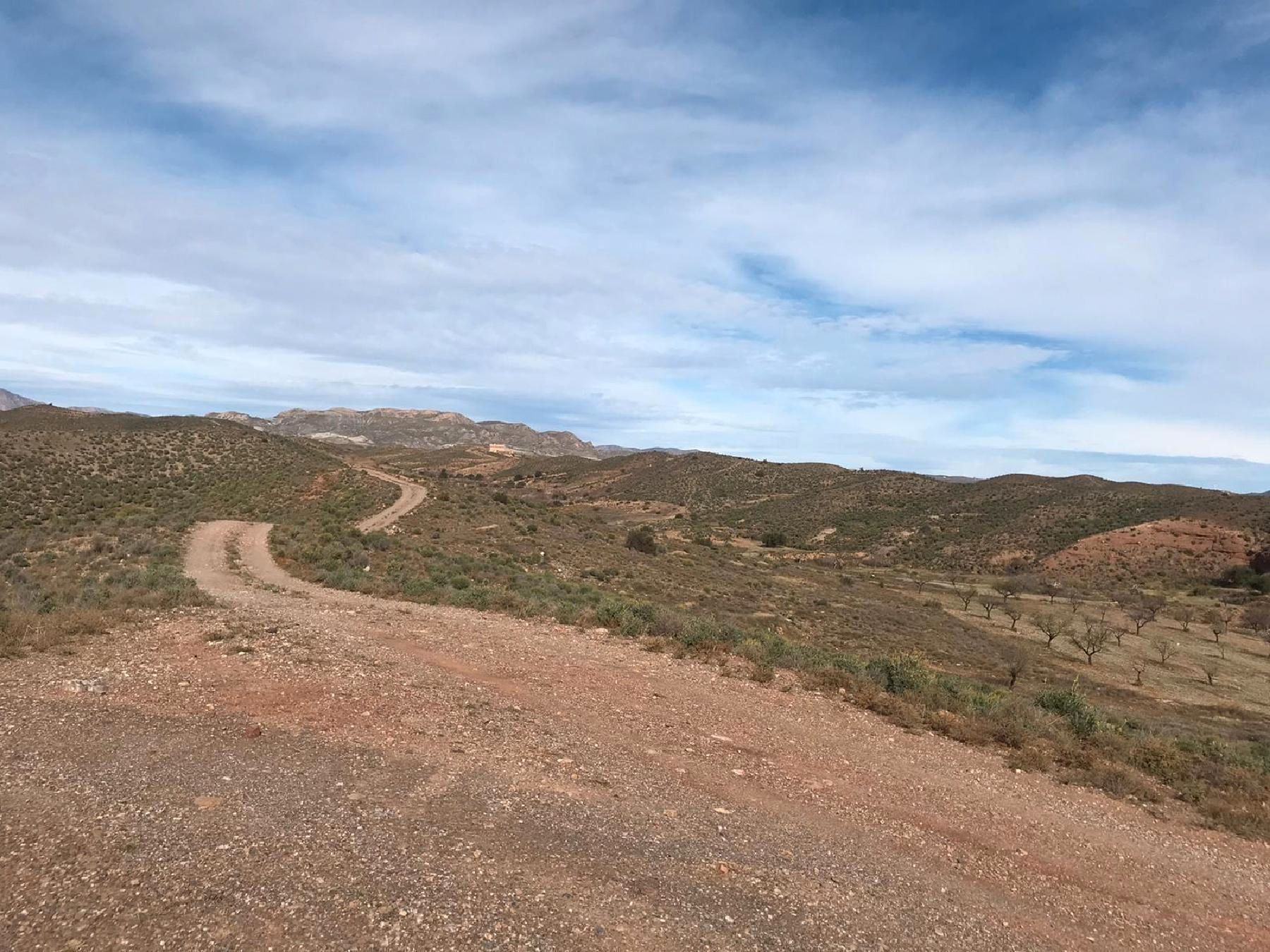 Vista exterior de Terreny industrial en venda en Albox