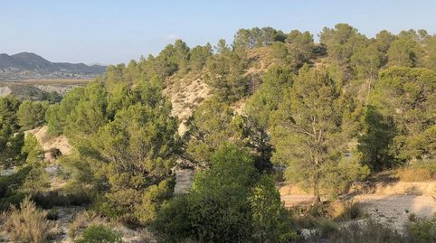 Foto 3 de Residencial en venta en Fontanares, Lorca
