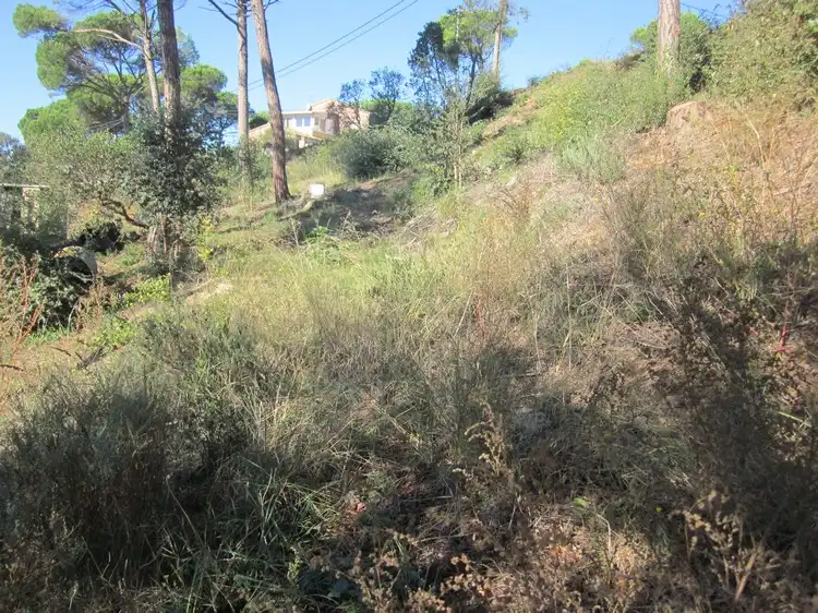 Terreny residencial en venda a Carrer del Puig Colomer, imagen 9