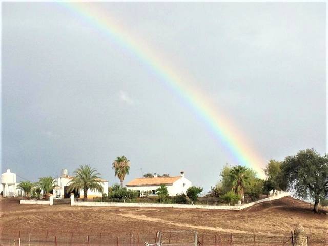 Finca rústica en Venta en  Almadén de la plata en Almadén de la Plata