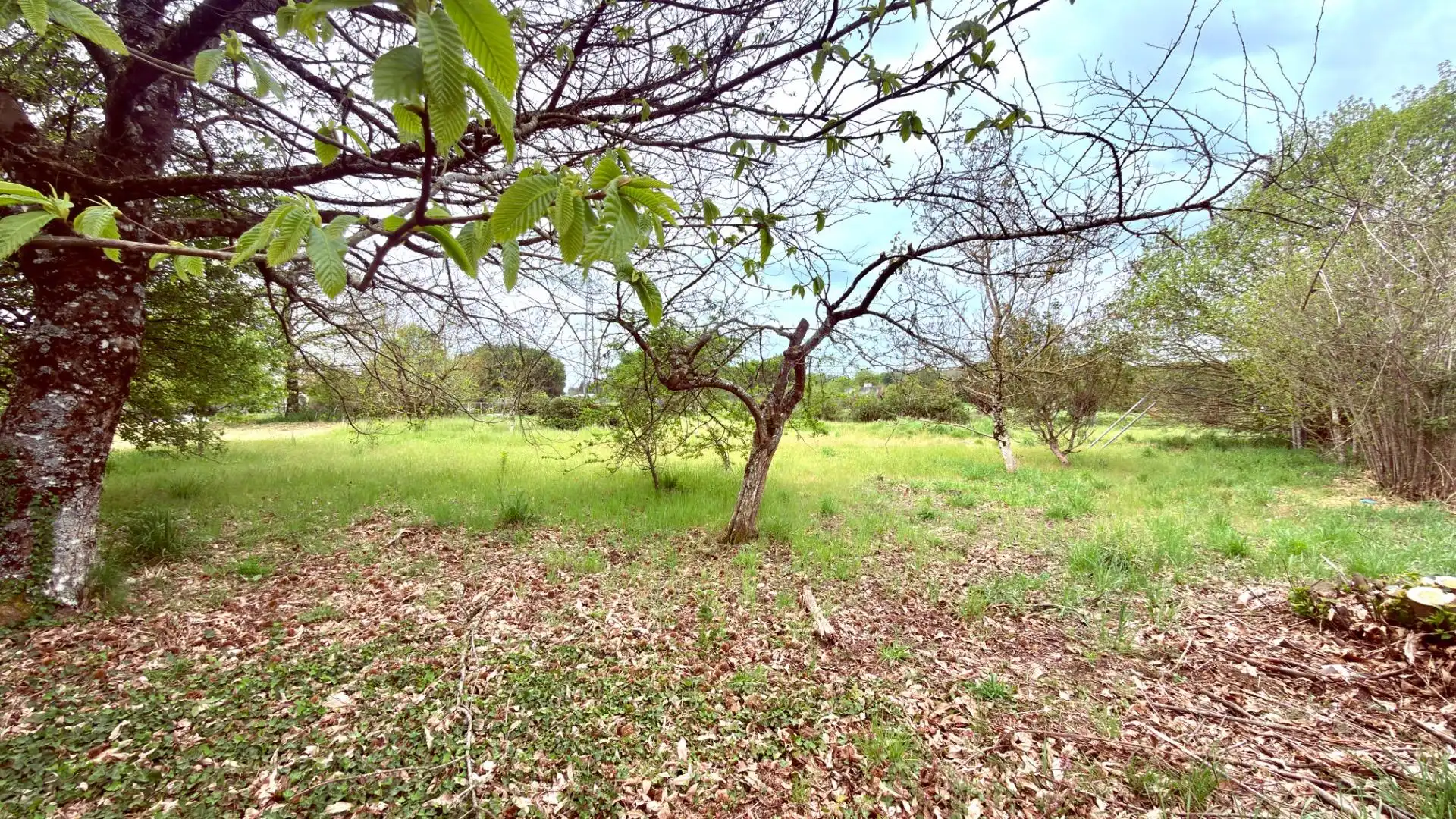 Casa o xalet en venda a Carballedo