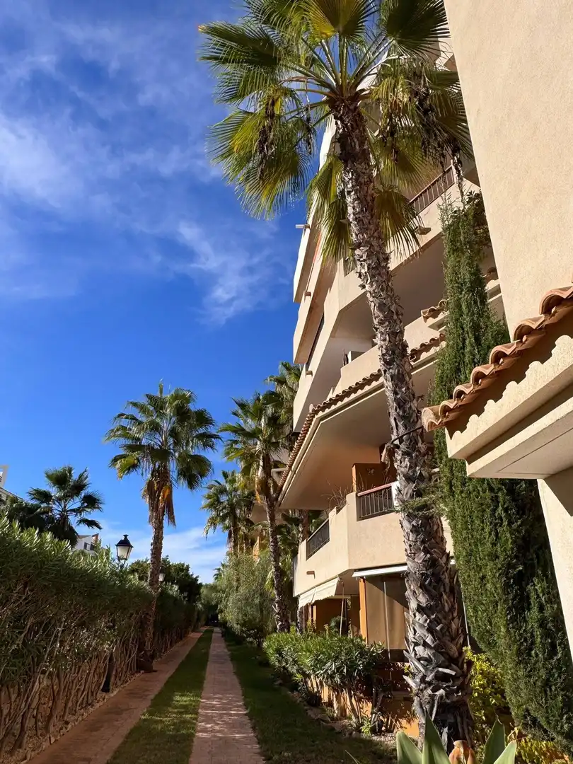 Vista exterior de Apartament en venda en Torrevieja amb Aire condicionat, Calefacció i Jardí privat