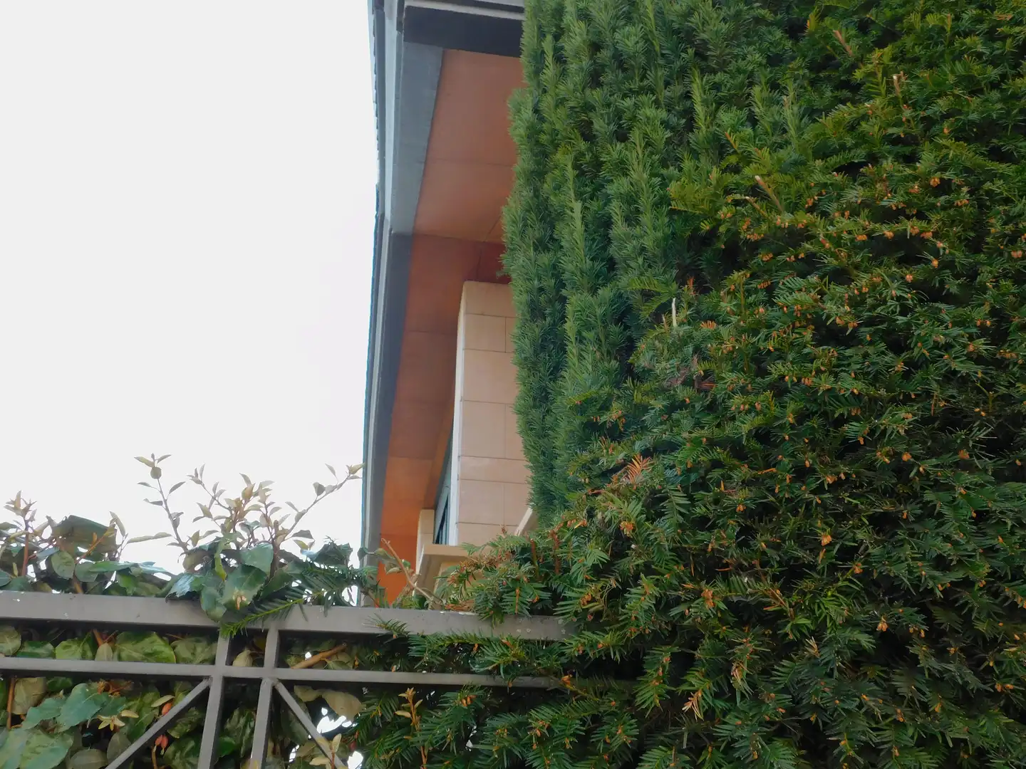 Vista exterior de Casa o chalet en venta en Zizur Mayor / Zizur Nagusia con Calefacción, Jardín privado y Terraza