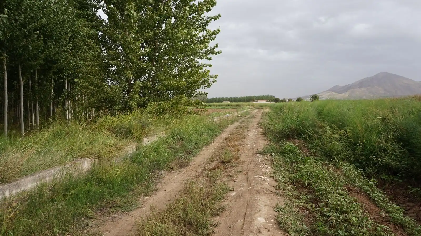 Rustikales Grundstück zum Verkauf in Pinos Puente, imagen 7