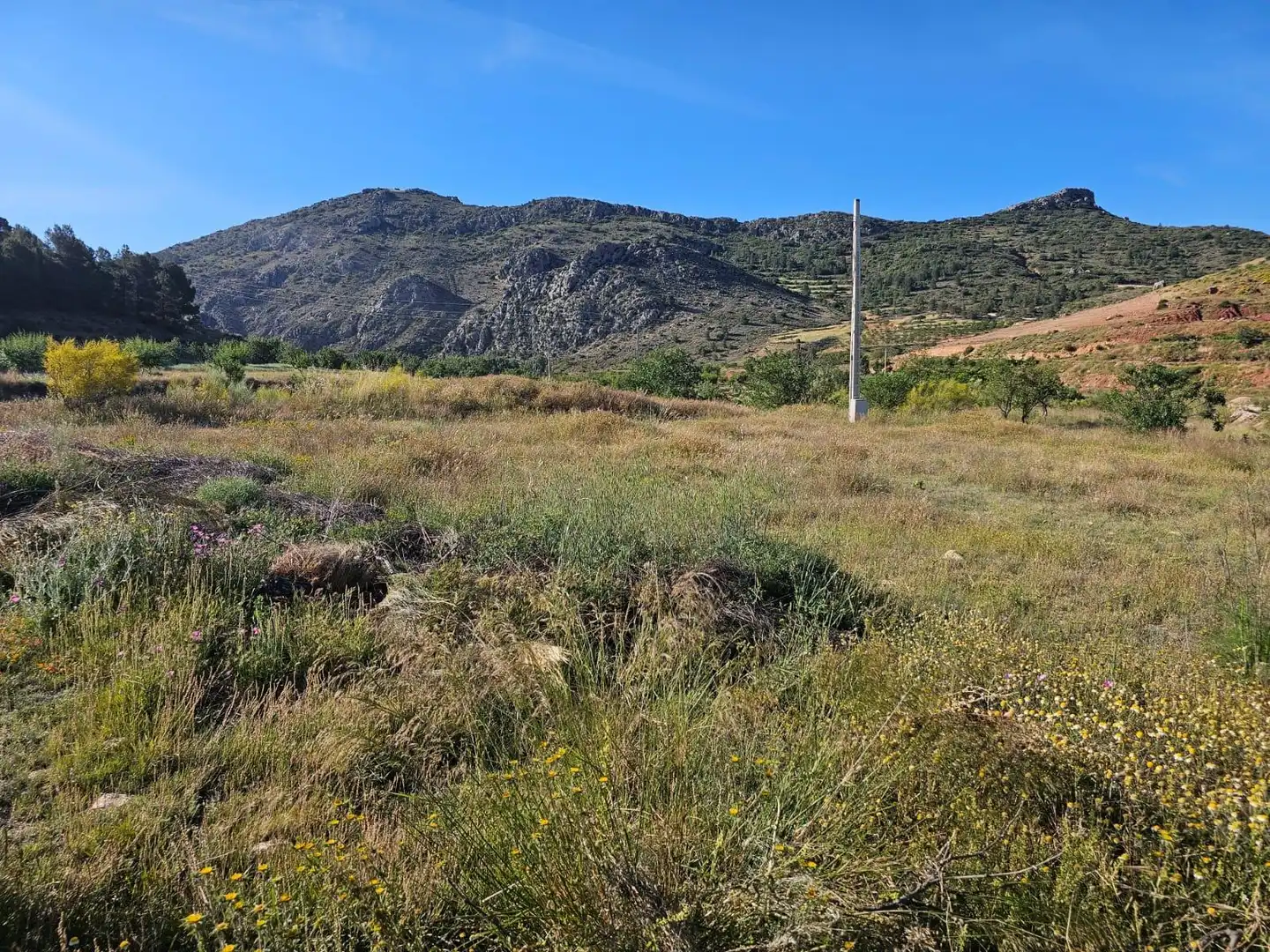 Finca rústica en venta en Vélez-Rubio con Terraza y Amueblado