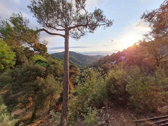 Terreno residencial en Venta en Carrer dels Geranis en Vallvidrera - Tibidabo - Les Planes