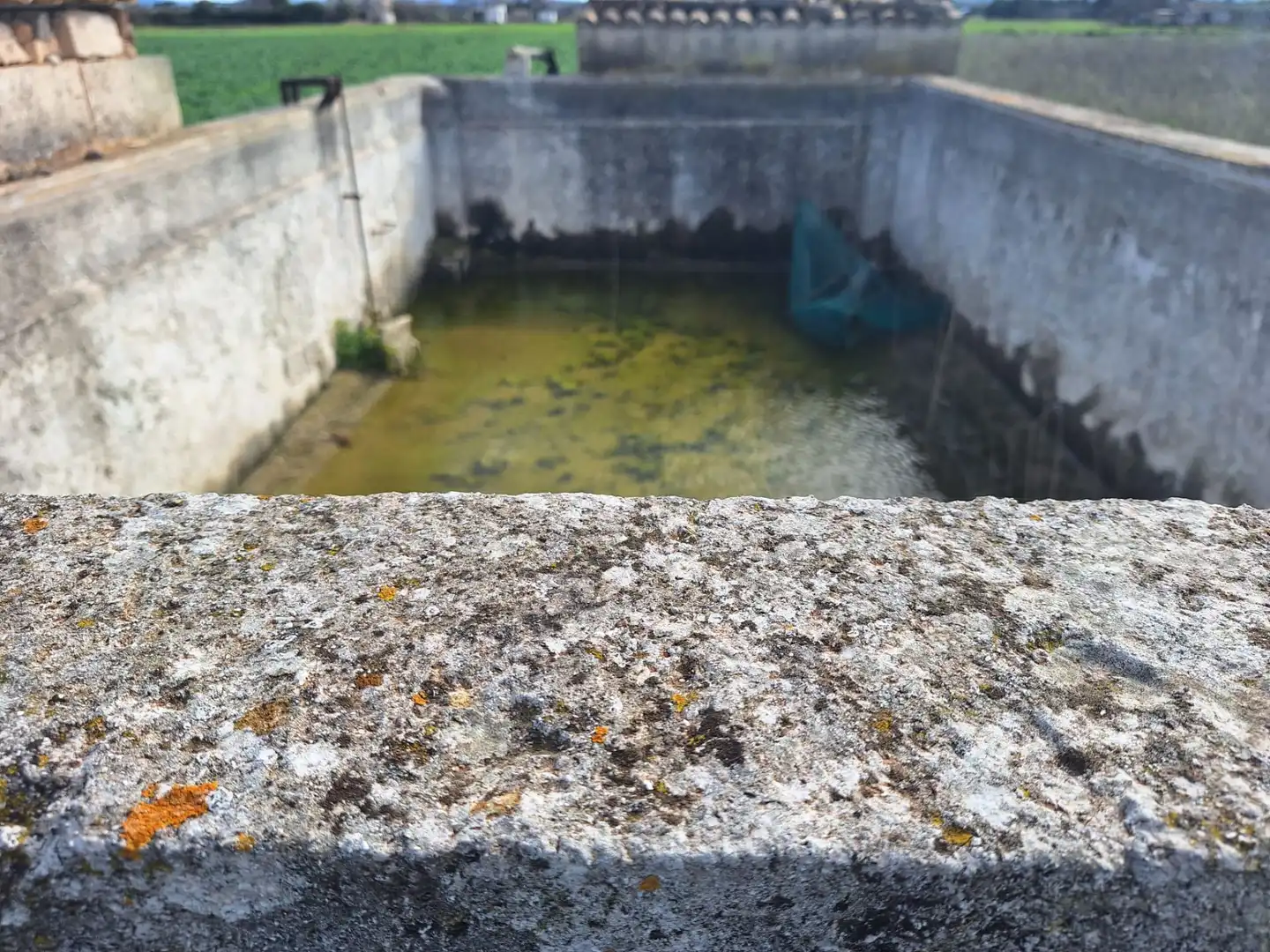 Schwimmbecken von Grundstücke zum Verkauf in Sa Pobla