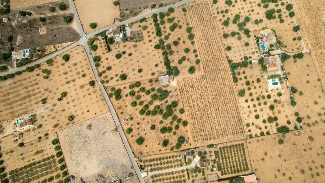 Land for sale in Consell