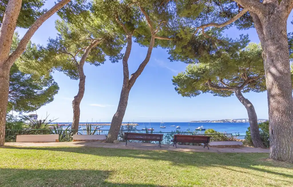 Mini appartamento con terrazza in vendita a Portals Nous, imagen 2