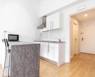 Kitchen of Loft to rent in  Madrid Capital  with Air Conditioner, Private garden and Terrace