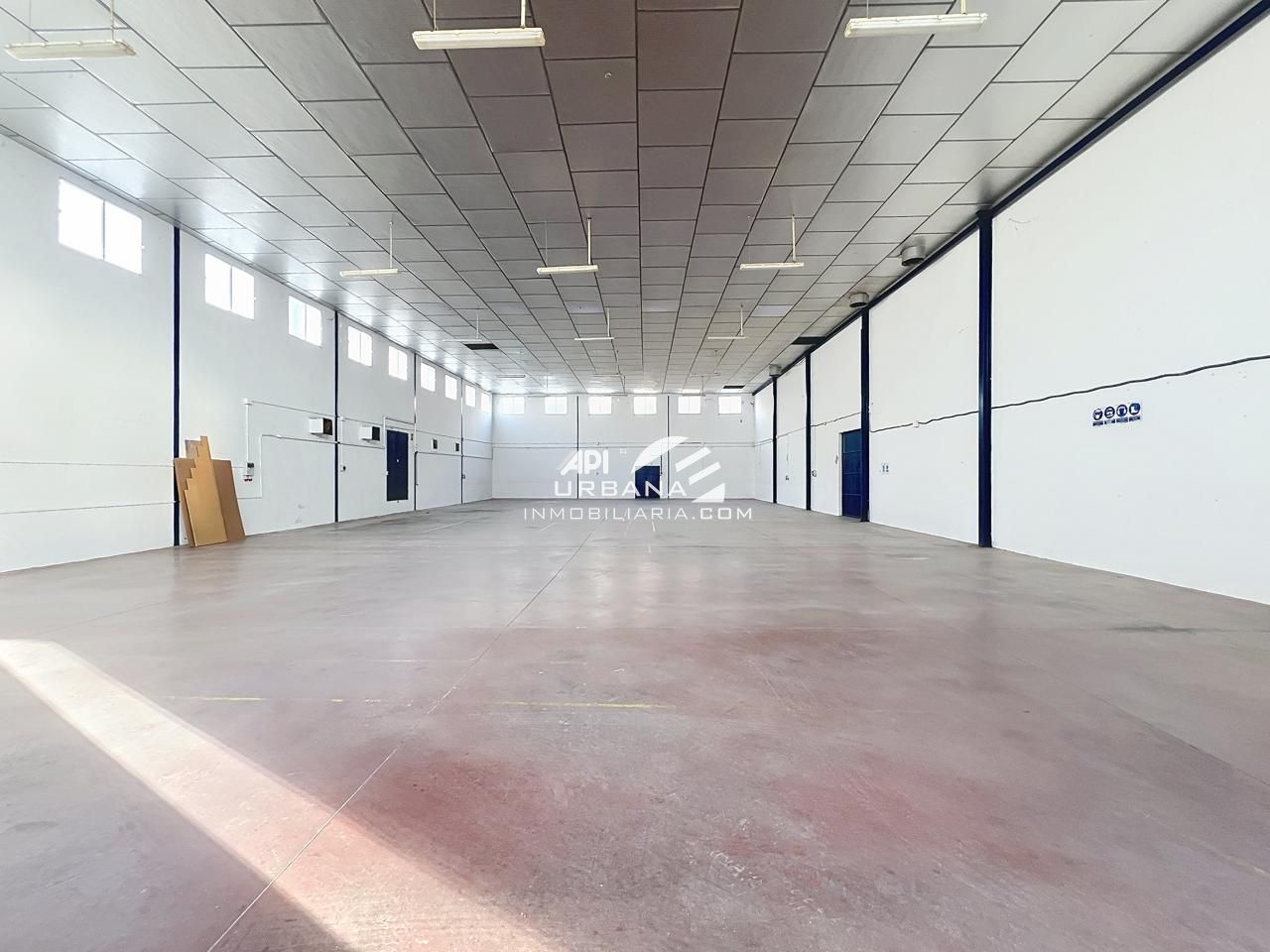 Nau industrial de lloguer en Lucena
