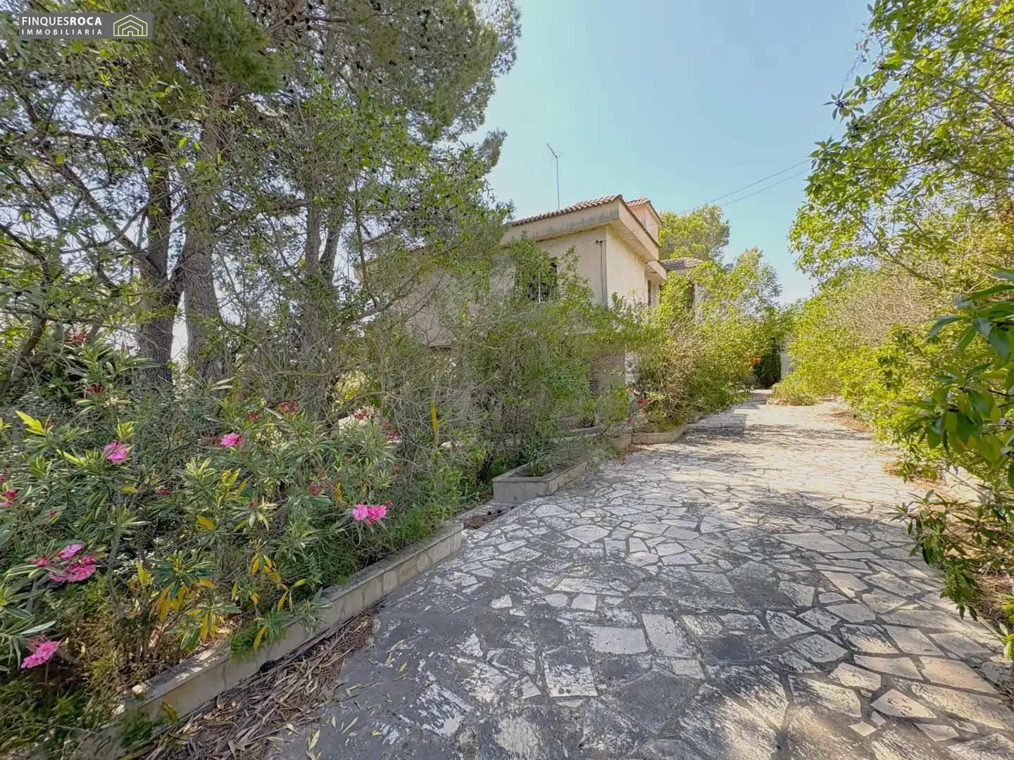 Vista exterior de Casa o xalet en venda en Alcanar amb Aire condicionat, Calefacció i Jardí privat