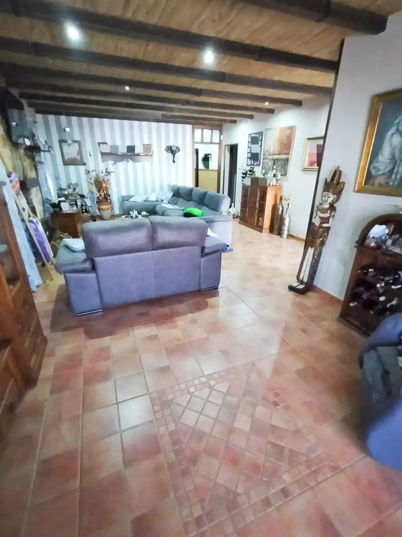 Living room of Houses for sale in Chiclana de la Frontera  with Storage room