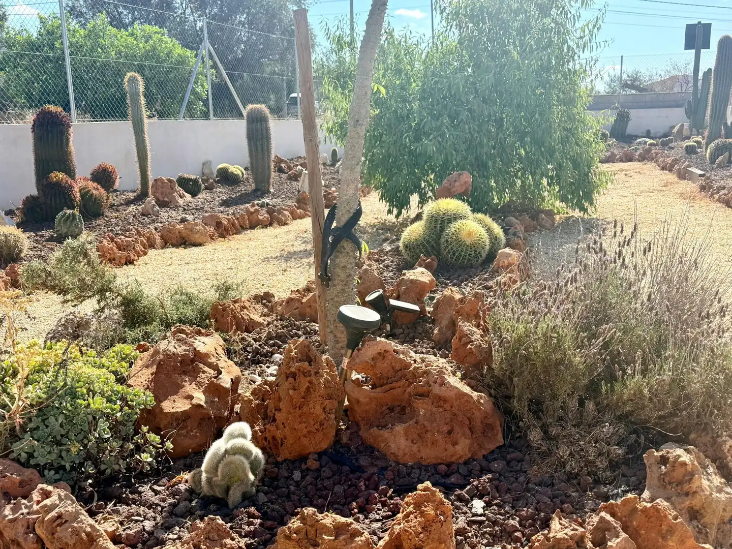 Jardí de Casa o xalet en venda en Albox amb Aire condicionat, Calefacció i Jardí privat