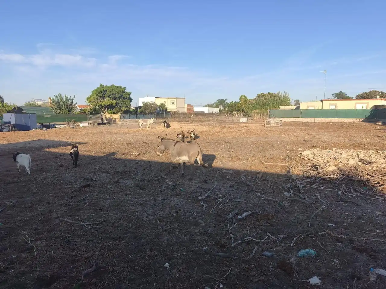 Rural land for sale in Camino de Santo Dios, imagen 7