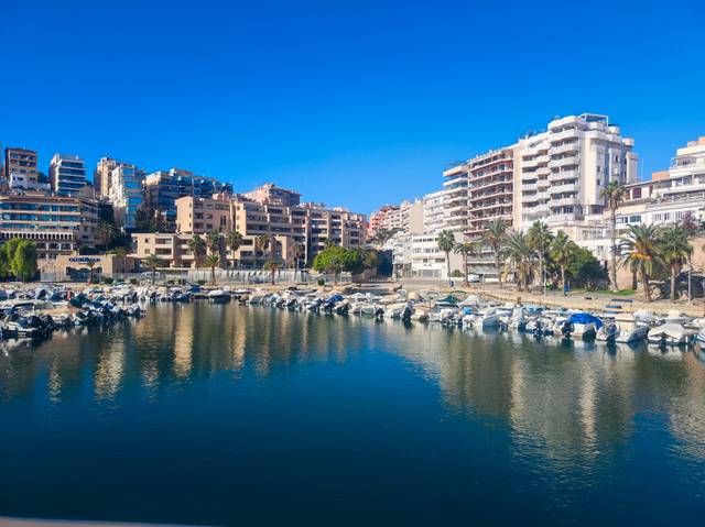 Local comercial en Alquiler en El Terreno