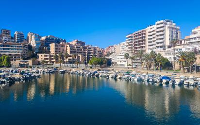 Vista exterior de Local de lloguer en  Palma de Mallorca amb Aire condicionat, Calefacció i Terrassa