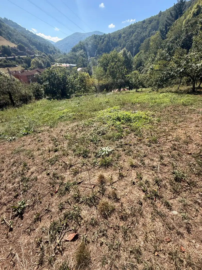 Maison jumelée avec jardin à vendre à Quirós, imagen 38