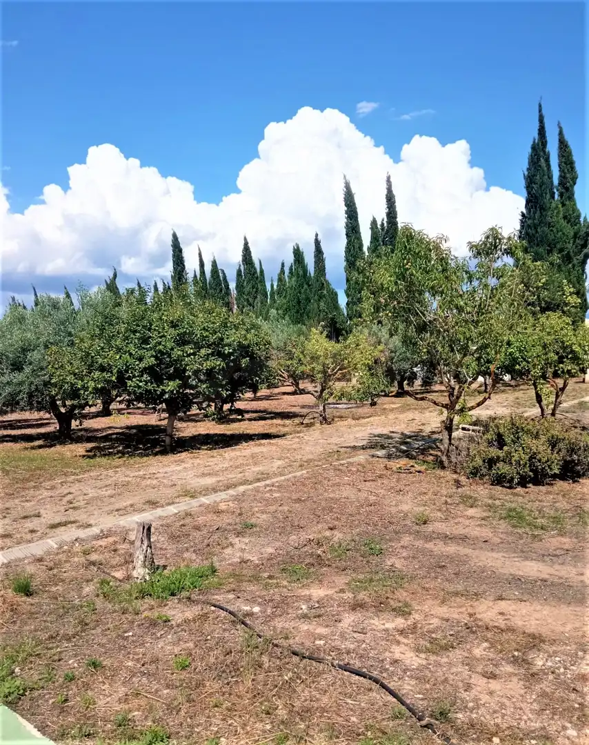 Houses for sale in Móra d'Ebre  with Air Conditioner, Heating and Swimming Pool