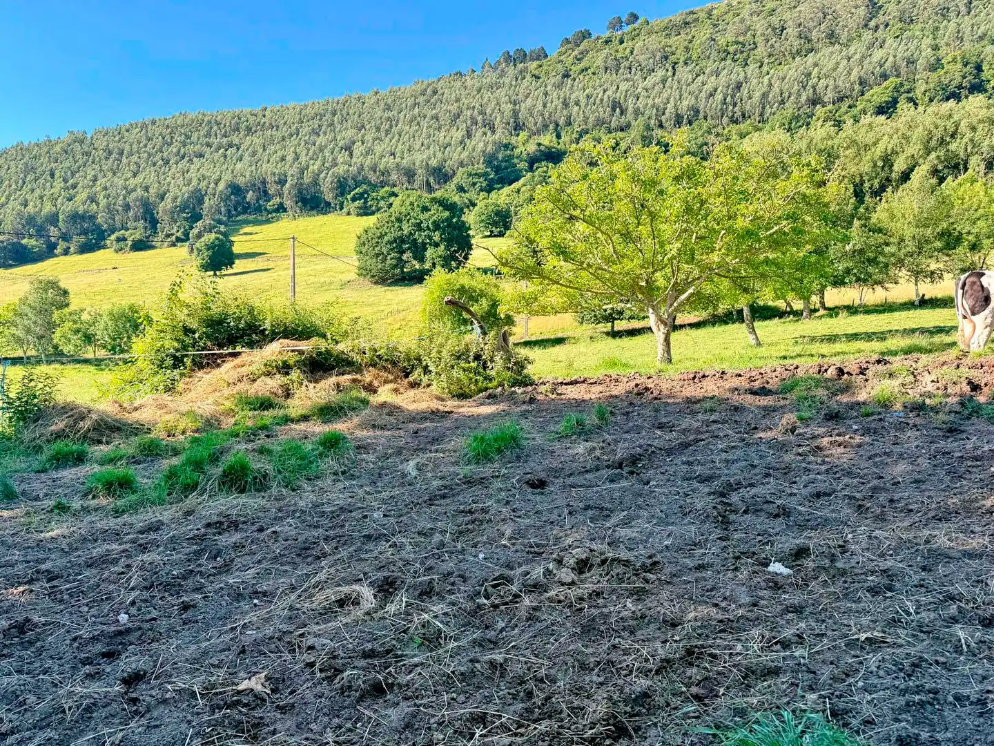 Terreno en venta en Medio Cudeyo