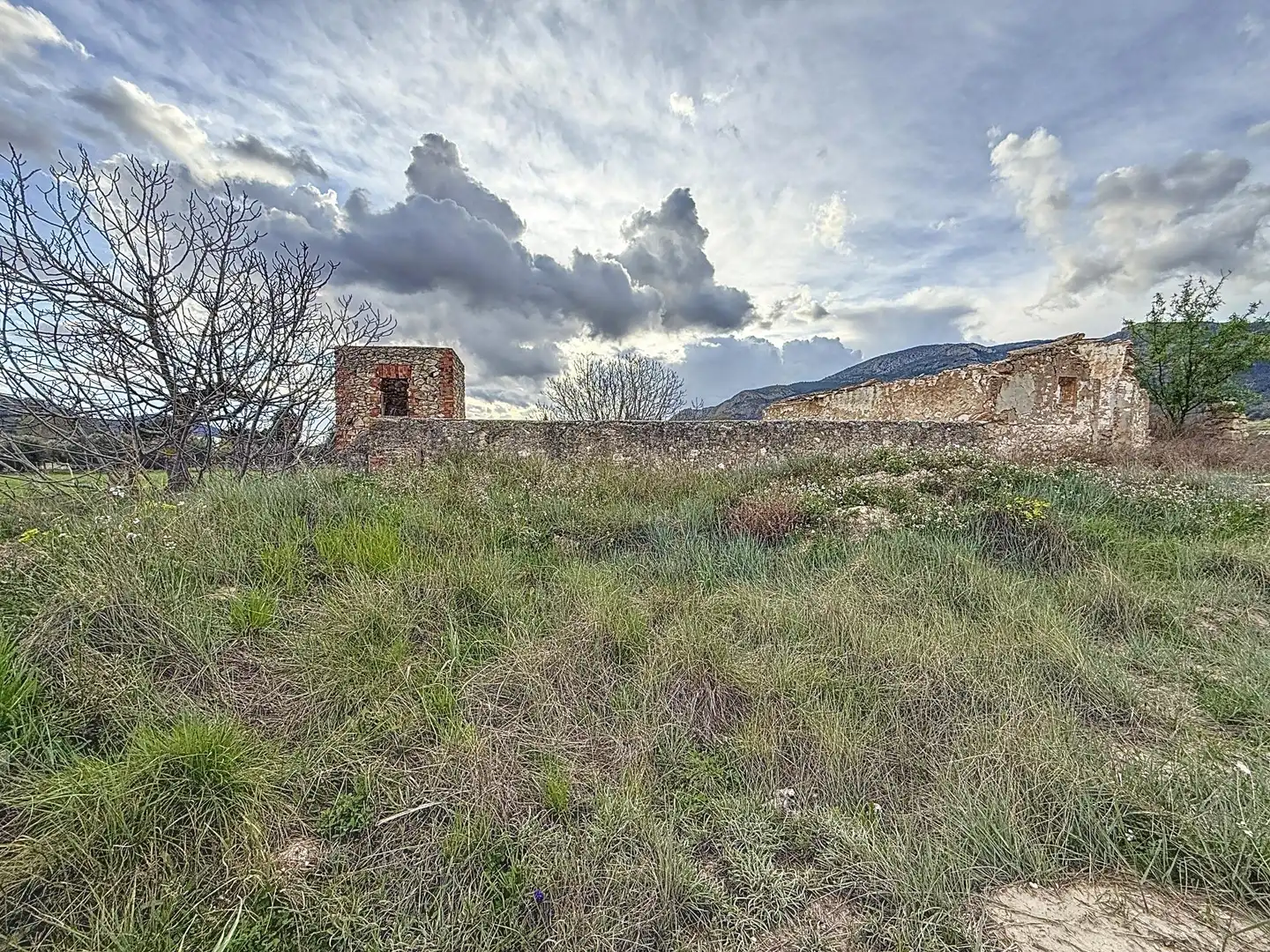Rural land for sale in Partida Polígono 12 Parcela 103 CAÑARETS. ONIL (ALICANTE, imagen 3