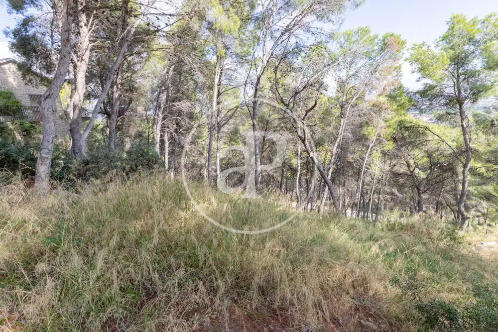 Terreno residenziale in vendita a El Bosque, imagen 14