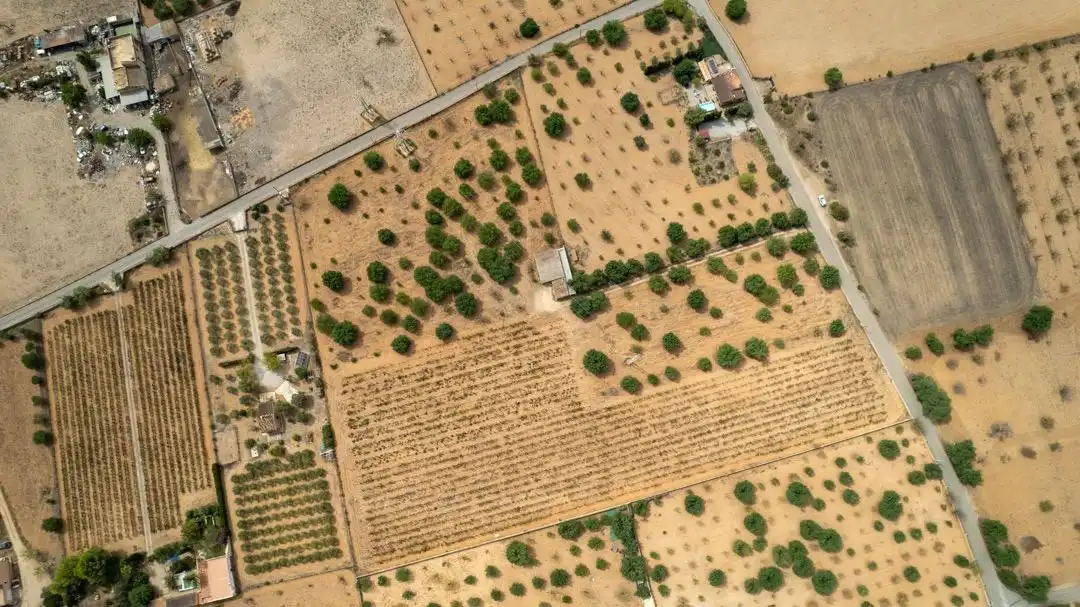 Land for sale in Consell