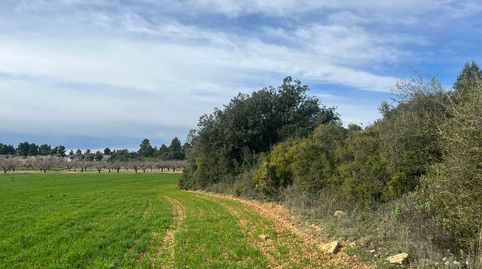 Finca rústica con maset en Calaceite, immagine 4