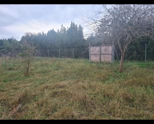 Casa o xalet en venda a Albalat dels Tarongers