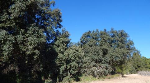 Foto 4 de Residencial en venta en El Pilar, Valencia