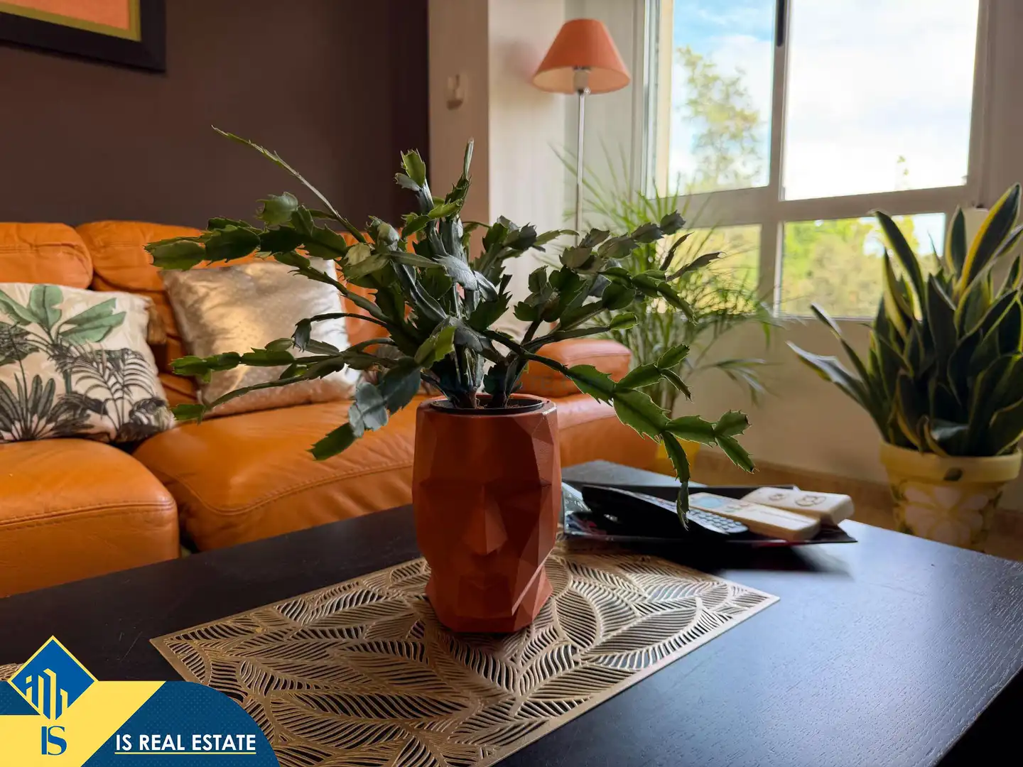 Apartamento con ascensor en venta en Pilar de la Horadada ciudad, imagen 37