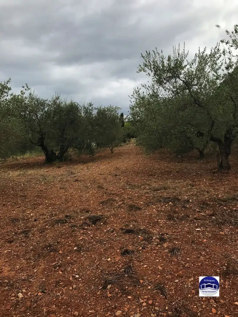 Residencial en venda en Terrassa