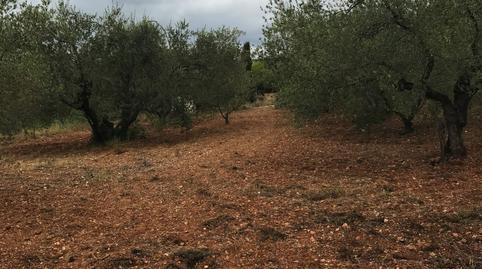 Photo 3 of Residential for sale in Pla de Bon Aire, Barcelona