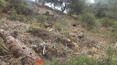Terreno en venta en Vacarisses.., immagine 3