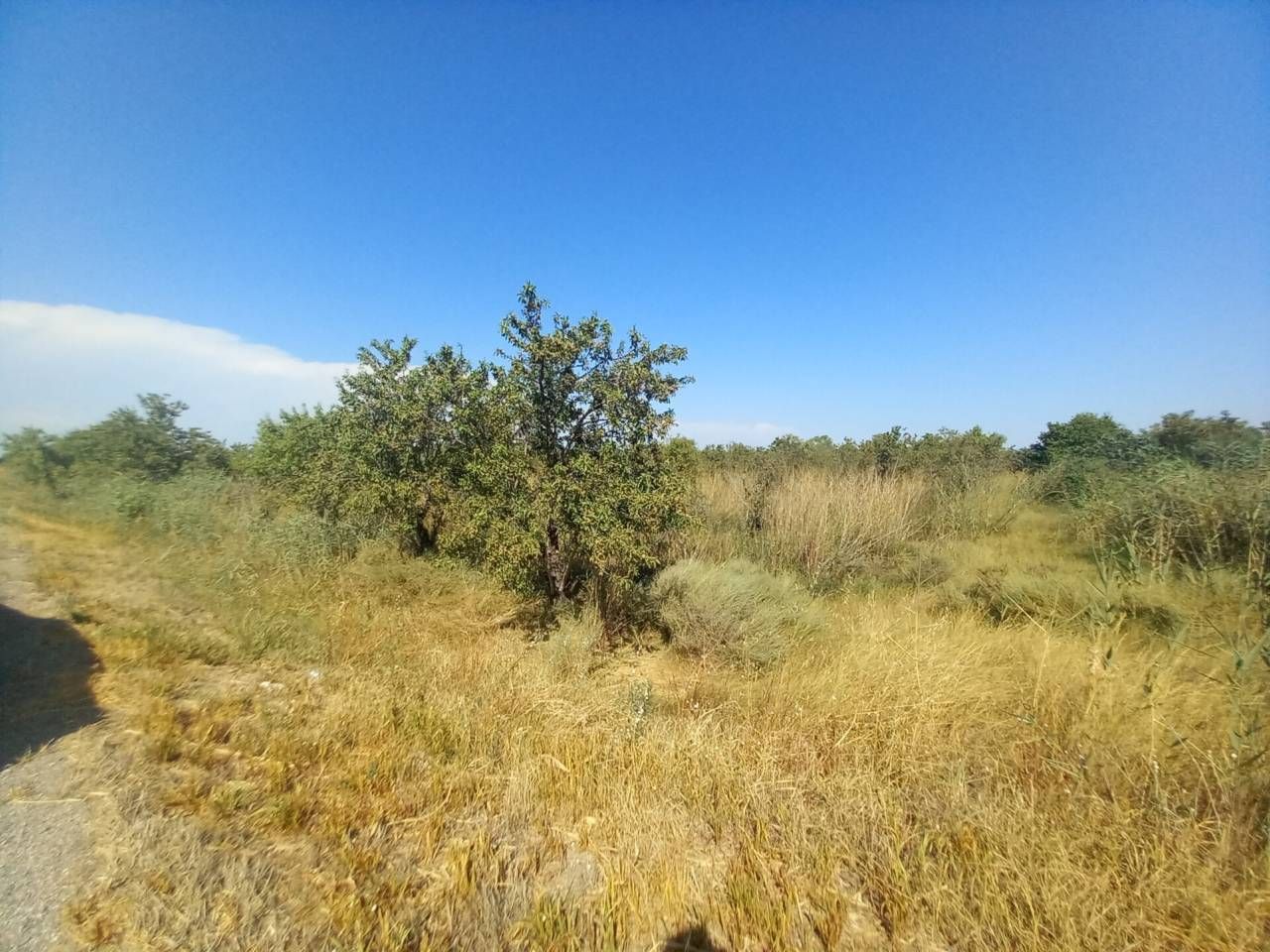 Terreno en venta en Alcolea de Cinca