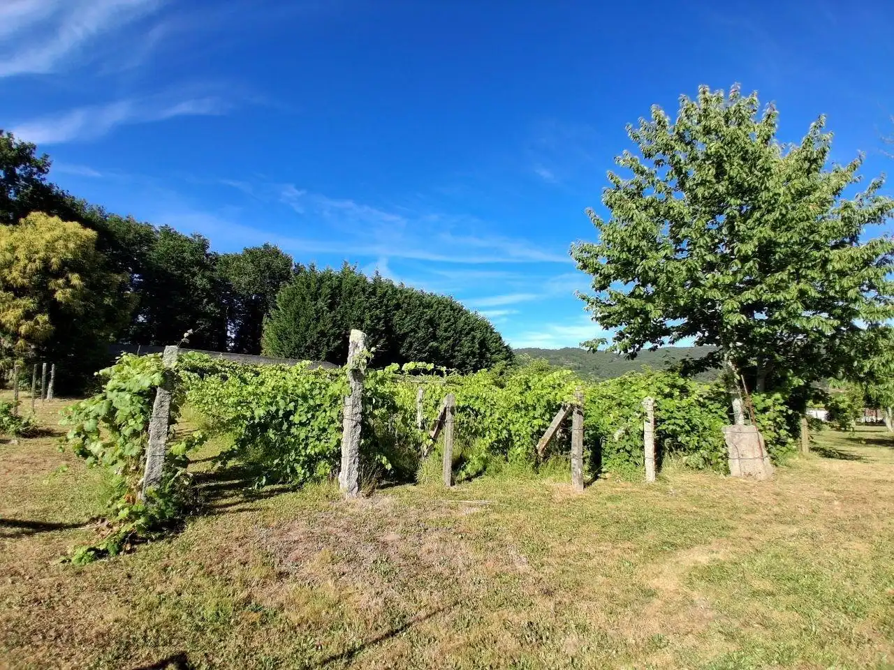 Finca rústica en venda en Cuntis amb Calefacció, Jardí privat i Traster