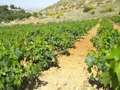Country homes for sale in Monachil  with Air Conditioner, Heating and Terrace